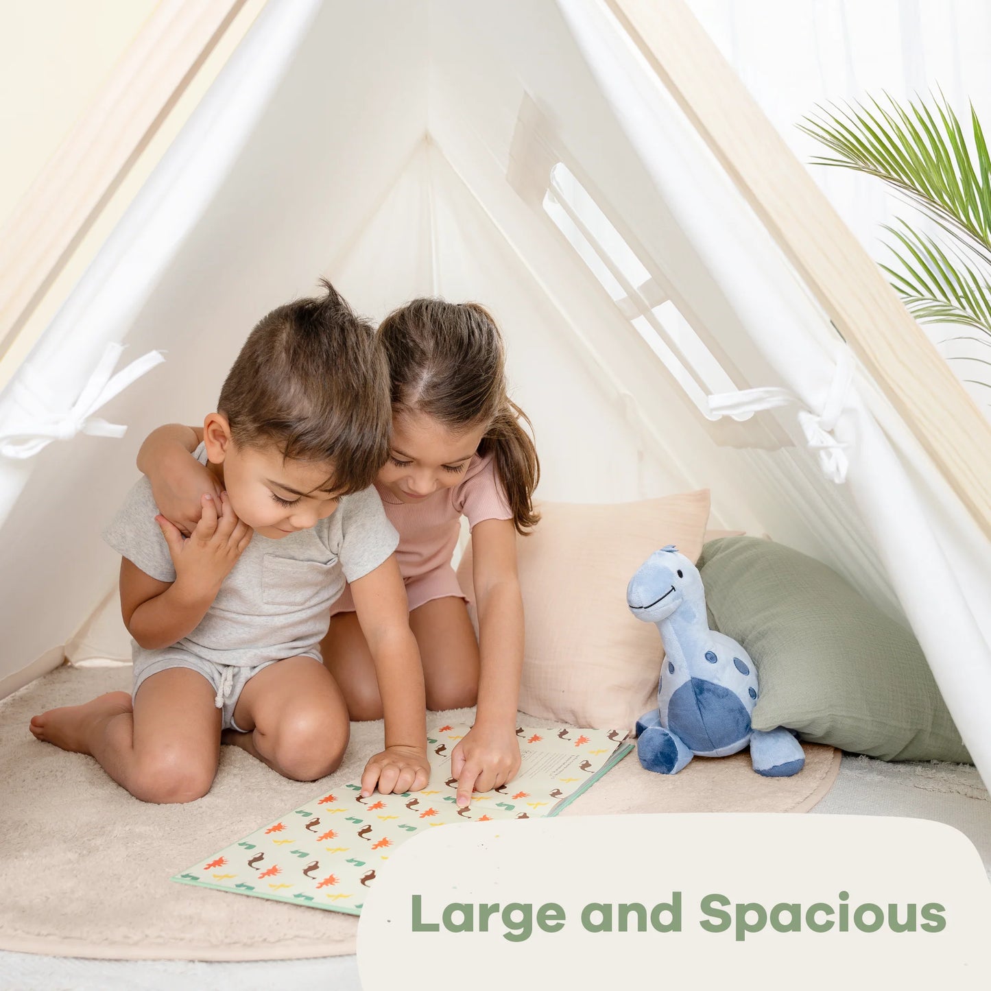 Indoor Play Tent